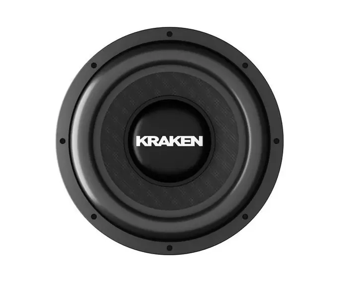 изображение_2023-12-21_195734071