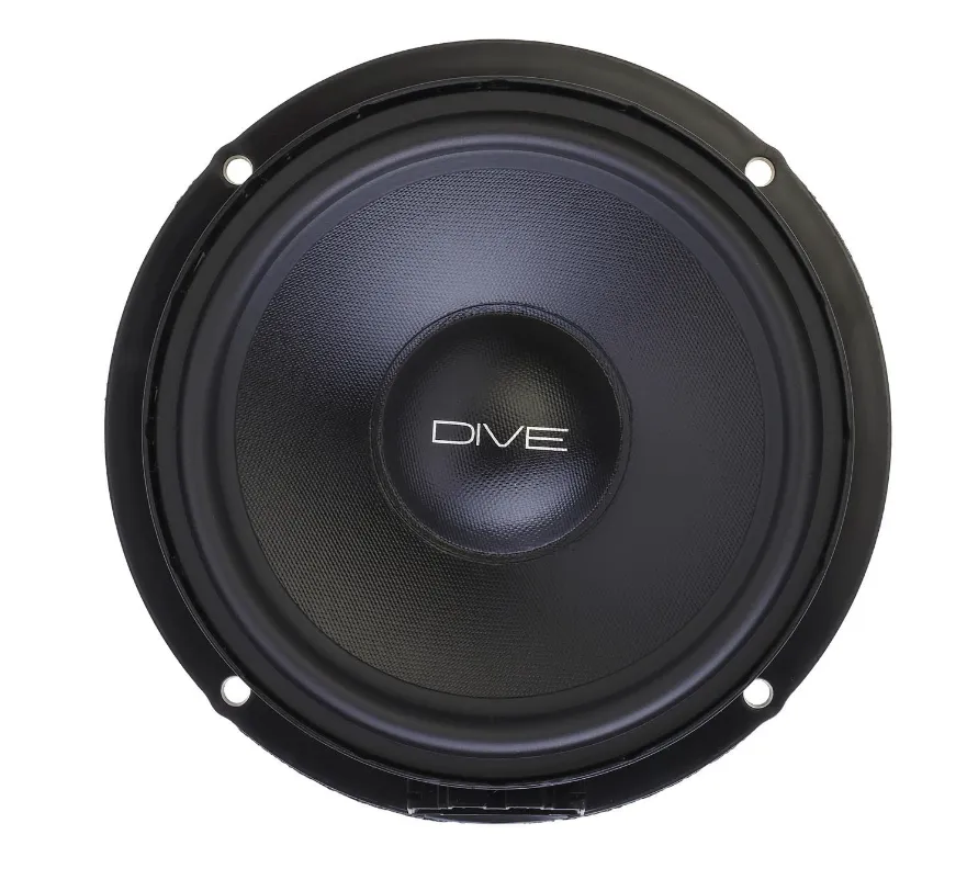 Акустика штатная Dynamic State DVW-W162 - фото