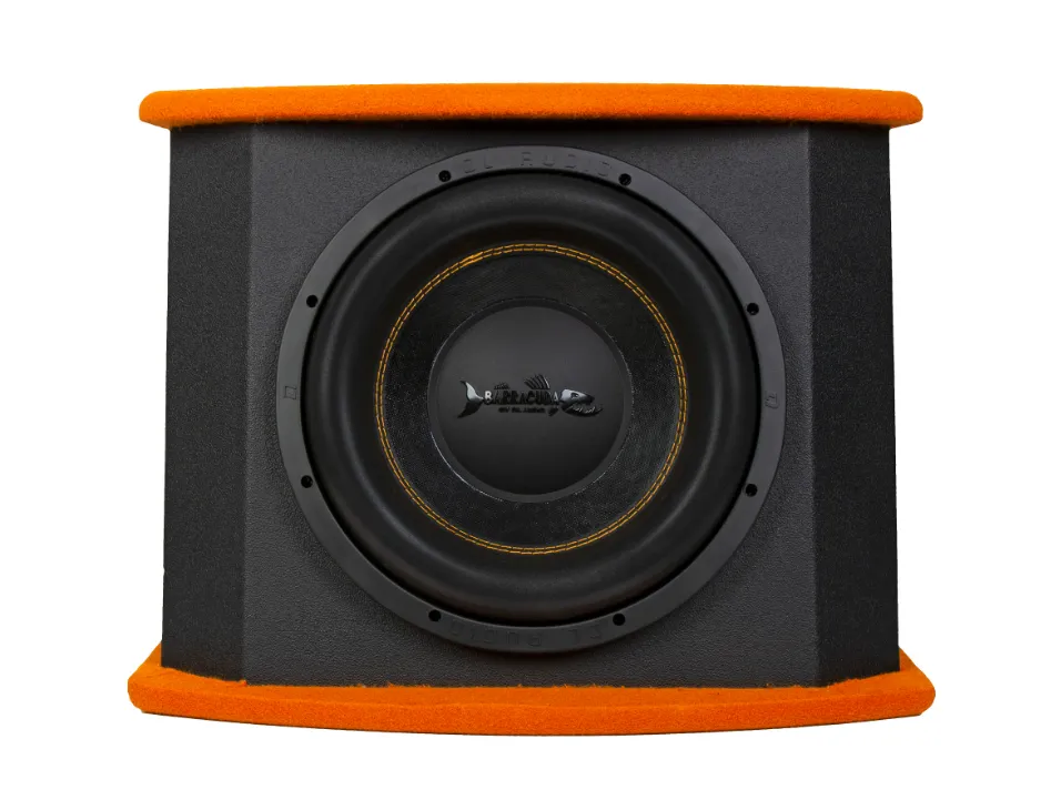 изображение_2023-11-12_203831753