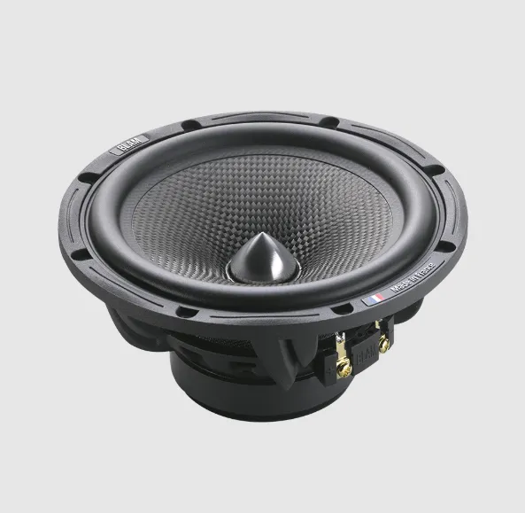 изображение_2025-06-05_204644665