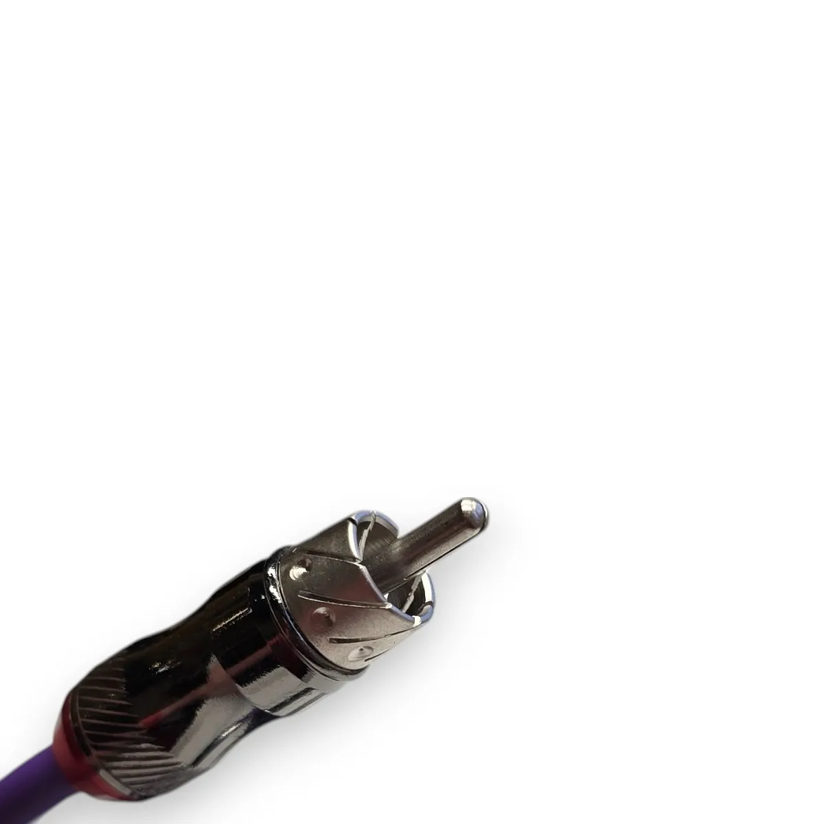 345435-Photoroom