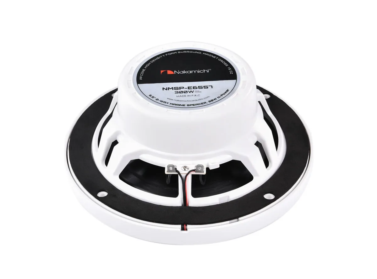 Акустика коаксиальная Nakamichi NAK-NMSP-E6557 - фото