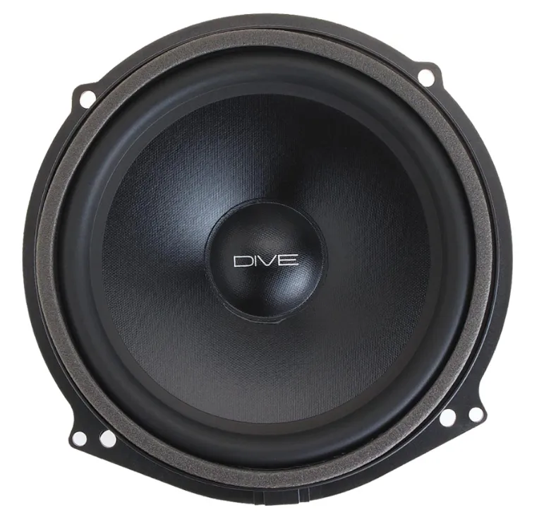 Акустика штатная Dynamic State DAU-CS20B - фото